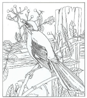 A coloring page of nature in the backyard